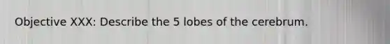 Objective XXX: Describe the 5 lobes of the cerebrum.