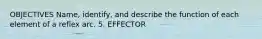 OBJECTIVES Name, identify, and describe the function of each element of a reflex arc. 5. EFFECTOR