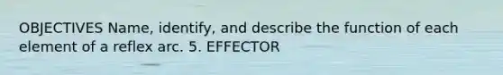 OBJECTIVES Name, identify, and describe the function of each element of a reflex arc. 5. EFFECTOR