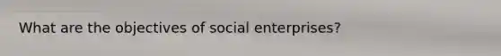 What are the objectives of social enterprises?