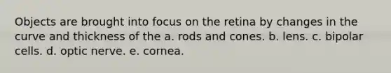 Objects are brought into focus on the retina by changes in the curve and thickness of the a. rods and cones. b. lens. c. bipolar cells. d. optic nerve. e. cornea.