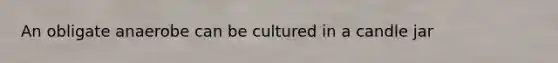 An obligate anaerobe can be cultured in a candle jar