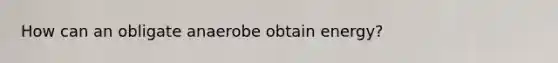 How can an obligate anaerobe obtain energy?