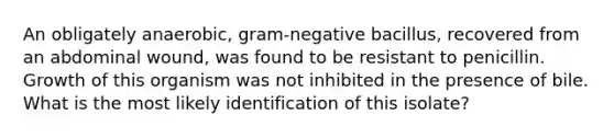 An obligately anaerobic, gram-negative bacillus, recovered from an abdominal wound, was found to be resistant to penicillin. Growth of this organism was not inhibited in the presence of bile. What is the most likely identification of this isolate?