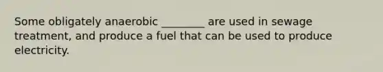 Some obligately anaerobic ________ are used in sewage treatment, and produce a fuel that can be used to produce electricity.