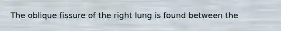 The oblique fissure of the right lung is found between the