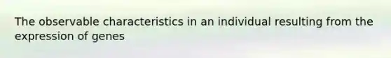 The observable characteristics in an individual resulting from the expression of genes