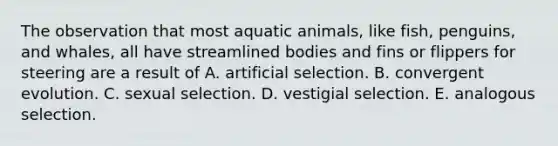 The observation that most aquatic animals, like fish, penguins, and whales, all have streamlined bodies and fins or flippers for steering are a result of A. artificial selection. B. convergent evolution. C. sexual selection. D. vestigial selection. E. analogous selection.