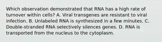 Which observation demonstrated that RNA has a high rate of turnover within cells? A. Viral transgenes are resistant to viral infection. B. Unlabeled RNA is synthesized in a few minutes. C. Double‑stranded RNA selectively silences genes. D. RNA is transported from the nucleus to the cytoplasm.