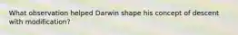What observation helped Darwin shape his concept of descent with modification?