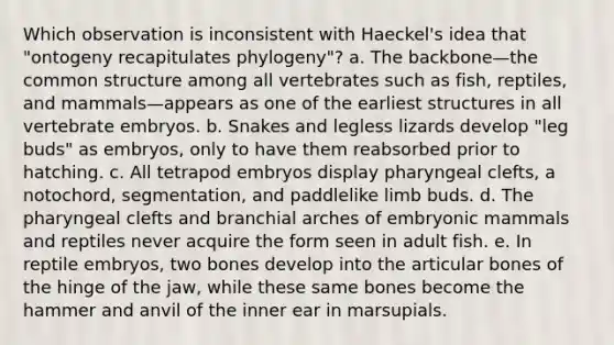 Which observation is inconsistent with Haeckel's idea that "ontogeny recapitulates phylogeny"? a. The backbone—the common structure among all vertebrates such as fish, reptiles, and mammals—appears as one of the earliest structures in all vertebrate embryos. b. Snakes and legless lizards develop "leg buds" as embryos, only to have them reabsorbed prior to hatching. c. All tetrapod embryos display pharyngeal clefts, a notochord, segmentation, and paddlelike limb buds. d. The pharyngeal clefts and branchial arches of embryonic mammals and reptiles never acquire the form seen in adult fish. e. In reptile embryos, two bones develop into the articular bones of the hinge of the jaw, while these same bones become the hammer and anvil of the inner ear in marsupials.