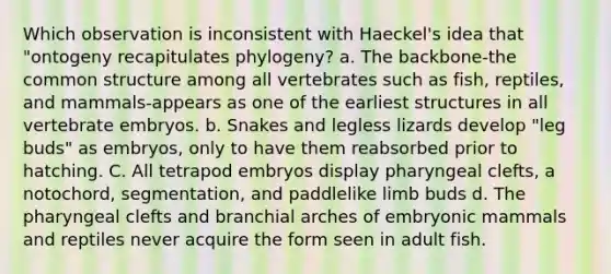 Which observation is inconsistent with Haeckel's idea that "ontogeny recapitulates phylogeny? a. The backbone-the common structure among all vertebrates such as fish, reptiles, and mammals-appears as one of the earliest structures in all vertebrate embryos. b. Snakes and legless lizards develop "leg buds" as embryos, only to have them reabsorbed prior to hatching. C. All tetrapod embryos display pharyngeal clefts, a notochord, segmentation, and paddlelike limb buds d. The pharyngeal clefts and branchial arches of embryonic mammals and reptiles never acquire the form seen in adult fish.