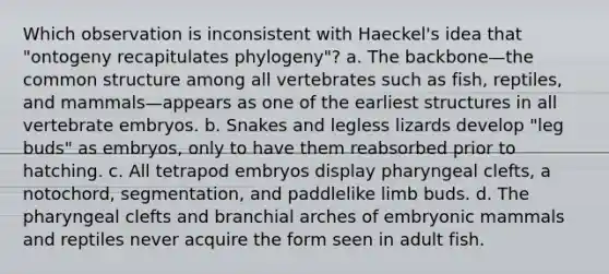 Which observation is inconsistent with Haeckel's idea that "ontogeny recapitulates phylogeny"? a. The backbone—the common structure among all vertebrates such as fish, reptiles, and mammals—appears as one of the earliest structures in all vertebrate embryos. b. Snakes and legless lizards develop "leg buds" as embryos, only to have them reabsorbed prior to hatching. c. All tetrapod embryos display pharyngeal clefts, a notochord, segmentation, and paddlelike limb buds. d. The pharyngeal clefts and branchial arches of embryonic mammals and reptiles never acquire the form seen in adult fish.