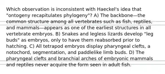 Which observation is inconsistent with Haeckel's idea that "ontogeny recapitulates phylogeny"? A) The backbone—the common structure among all vertebrates such as fish, reptiles, and mammals—appears as one of the earliest structures in all vertebrate embryos. B) Snakes and legless lizards develop "leg buds" as embryos, only to have them reabsorbed prior to hatching. C) All tetrapod embryos display pharyngeal clefts, a notochord, segmentation, and paddlelike limb buds. D) The pharyngeal clefts and branchial arches of embryonic mammals and reptiles never acquire the form seen in adult fish.