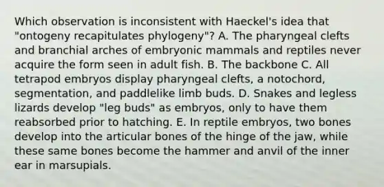 Which observation is inconsistent with Haeckel's idea that "ontogeny recapitulates phylogeny"? A. The pharyngeal clefts and branchial arches of embryonic mammals and reptiles never acquire the form seen in adult fish. B. The backbone C. All tetrapod embryos display pharyngeal clefts, a notochord, segmentation, and paddlelike limb buds. D. Snakes and legless lizards develop "leg buds" as embryos, only to have them reabsorbed prior to hatching. E. In reptile embryos, two bones develop into the articular bones of the hinge of the jaw, while these same bones become the hammer and anvil of the inner ear in marsupials.