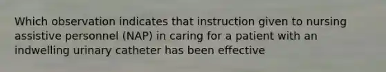 Which observation indicates that instruction given to nursing assistive personnel (NAP) in caring for a patient with an indwelling urinary catheter has been effective