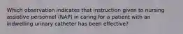 Which observation indicates that instruction given to nursing assistive personnel (NAP) in caring for a patient with an indwelling urinary catheter has been effective?