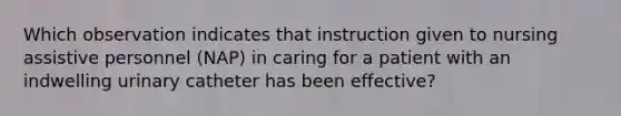 Which observation indicates that instruction given to nursing assistive personnel (NAP) in caring for a patient with an indwelling urinary catheter has been effective?