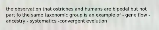 the observation that ostriches and humans are bipedal but not part fo the same taxonomic group is an example of - gene flow -ancestry - systematics -convergent evolution