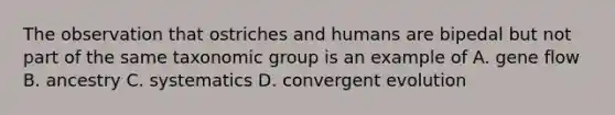 The observation that ostriches and humans are bipedal but not part of the same taxonomic group is an example of A. gene flow B. ancestry C. systematics D. convergent evolution