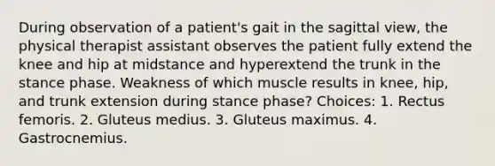 During observation of a patient's gait in the sagittal view, the physical therapist assistant observes the patient fully extend the knee and hip at midstance and hyperextend the trunk in the stance phase. Weakness of which muscle results in knee, hip, and trunk extension during stance phase? Choices: 1. Rectus femoris. 2. Gluteus medius. 3. Gluteus maximus. 4. Gastrocnemius.