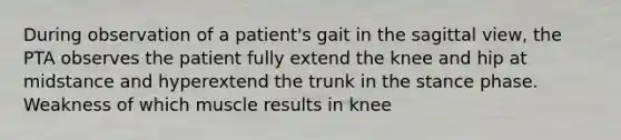 During observation of a patient's gait in the sagittal view, the PTA observes the patient fully extend the knee and hip at midstance and hyperextend the trunk in the stance phase. Weakness of which muscle results in knee