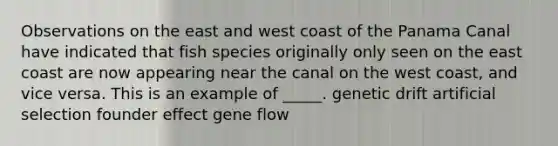 Observations on the east and west coast of the Panama Canal have indicated that fish species originally only seen on the east coast are now appearing near the canal on the west coast, and vice versa. This is an example of _____. genetic drift artificial selection founder effect gene flow