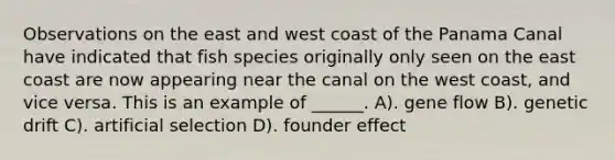 Observations on the east and west coast of the Panama Canal have indicated that fish species originally only seen on the east coast are now appearing near the canal on the west coast, and vice versa. This is an example of ______. A). gene flow B). genetic drift C). artificial selection D). founder effect