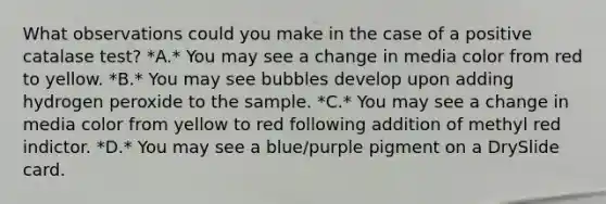 What observations could you make in the case of a positive catalase test? *A.* You may see a change in media color from red to yellow. *B.* You may see bubbles develop upon adding hydrogen peroxide to the sample. *C.* You may see a change in media color from yellow to red following addition of methyl red indictor. *D.* You may see a blue/purple pigment on a DrySlide card.