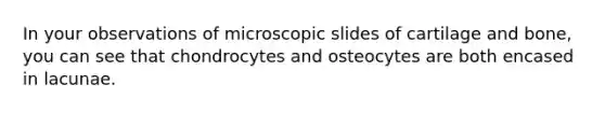 In your observations of microscopic slides of cartilage and bone, you can see that chondrocytes and osteocytes are both encased in lacunae.