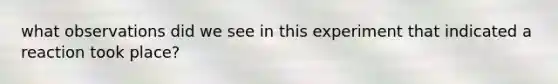 what observations did we see in this experiment that indicated a reaction took place?