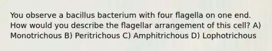 You observe a bacillus bacterium with four ﬂagella on one end. How would you describe the ﬂagellar arrangement of this cell? A) Monotrichous B) Peritrichous C) Amphitrichous D) Lophotrichous