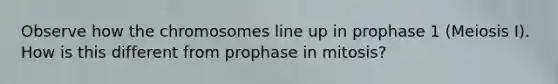 Observe how the chromosomes line up in prophase 1 (Meiosis I). How is this different from prophase in mitosis?