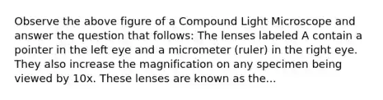 Observe the above figure of a Compound Light Microscope and answer the question that follows: The lenses labeled A contain a pointer in the left eye and a micrometer (ruler) in the right eye. They also increase the magnification on any specimen being viewed by 10x. These lenses are known as the...