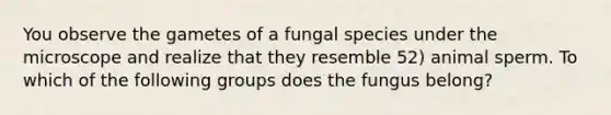 You observe the gametes of a fungal species under the microscope and realize that they resemble 52) animal sperm. To which of the following groups does the fungus belong?