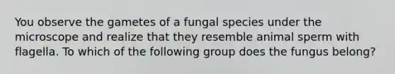 You observe the gametes of a fungal species under the microscope and realize that they resemble animal sperm with flagella. To which of the following group does the fungus belong?