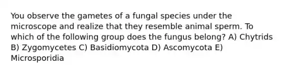 You observe the gametes of a fungal species under the microscope and realize that they resemble animal sperm. To which of the following group does the fungus belong? A) Chytrids B) Zygomycetes C) Basidiomycota D) Ascomycota E) Microsporidia