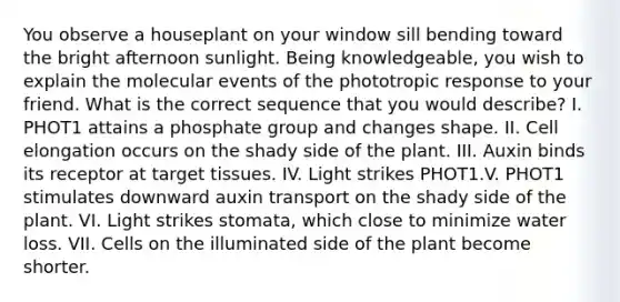 You observe a houseplant on your window sill bending toward the bright afternoon sunlight. Being knowledgeable, you wish to explain the molecular events of the phototropic response to your friend. What is the correct sequence that you would describe? I. PHOT1 attains a phosphate group and changes shape. II. Cell elongation occurs on the shady side of the plant. III. Auxin binds its receptor at target tissues. IV. Light strikes PHOT1.V. PHOT1 stimulates downward auxin transport on the shady side of the plant. VI. Light strikes stomata, which close to minimize water loss. VII. Cells on the illuminated side of the plant become shorter.