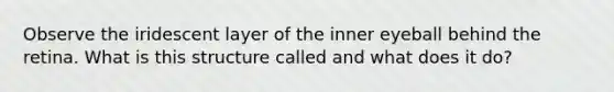 Observe the iridescent layer of the inner eyeball behind the retina. What is this structure called and what does it do?