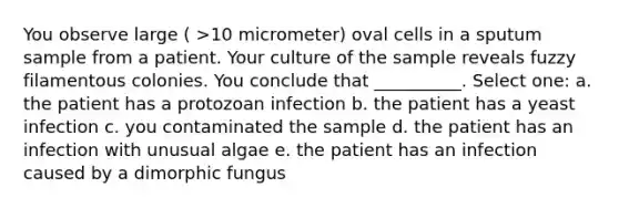 You observe large ( >10 micrometer) oval cells in a sputum sample from a patient. Your culture of the sample reveals fuzzy filamentous colonies. You conclude that __________. Select one: a. the patient has a protozoan infection b. the patient has a yeast infection c. you contaminated the sample d. the patient has an infection with unusual algae e. the patient has an infection caused by a dimorphic fungus