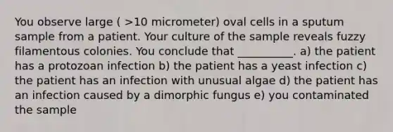 You observe large ( >10 micrometer) oval cells in a sputum sample from a patient. Your culture of the sample reveals fuzzy filamentous colonies. You conclude that __________. a) the patient has a protozoan infection b) the patient has a yeast infection c) the patient has an infection with unusual algae d) the patient has an infection caused by a dimorphic fungus e) you contaminated the sample