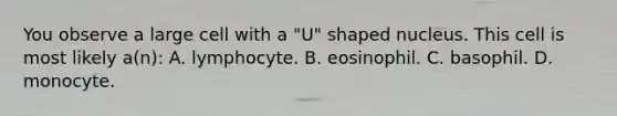 You observe a large cell with a "U" shaped nucleus. This cell is most likely a(n): A. lymphocyte. B. eosinophil. C. basophil. D. monocyte.