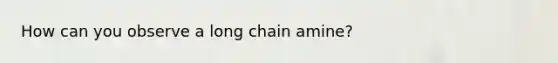 How can you observe a long chain amine?