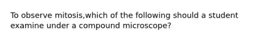 To observe mitosis,which of the following should a student examine under a compound microscope?