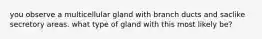 you observe a multicellular gland with branch ducts and saclike secretory areas. what type of gland with this most likely be?