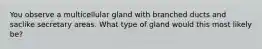 You observe a multicellular gland with branched ducts and saclike secretary areas. What type of gland would this most likely be?