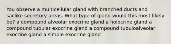 You observe a multicellular gland with branched ducts and saclike secretory areas. What type of gland would this most likely be? a compound alveolar exocrine gland a holocrine gland a compound tubular exocrine gland a compound tubuloalveolar exocrine gland a simple exocrine gland