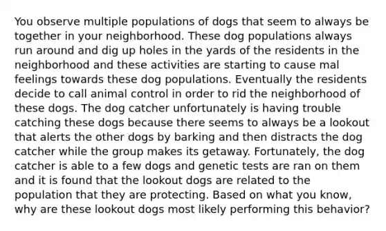 You observe multiple populations of dogs that seem to always be together in your neighborhood. These dog populations always run around and dig up holes in the yards of the residents in the neighborhood and these activities are starting to cause mal feelings towards these dog populations. Eventually the residents decide to call animal control in order to rid the neighborhood of these dogs. The dog catcher unfortunately is having trouble catching these dogs because there seems to always be a lookout that alerts the other dogs by barking and then distracts the dog catcher while the group makes its getaway. Fortunately, the dog catcher is able to a few dogs and genetic tests are ran on them and it is found that the lookout dogs are related to the population that they are protecting. Based on what you know, why are these lookout dogs most likely performing this behavior?