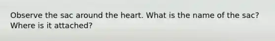 Observe the sac around the heart. What is the name of the sac? Where is it attached?