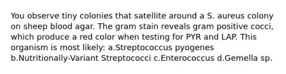 You observe tiny colonies that satellite around a S. aureus colony on sheep blood agar. The gram stain reveals gram positive cocci, which produce a red color when testing for PYR and LAP. This organism is most likely: a.Streptococcus pyogenes b.Nutritionally-Variant Streptococci c.Enterococcus d.Gemella sp.